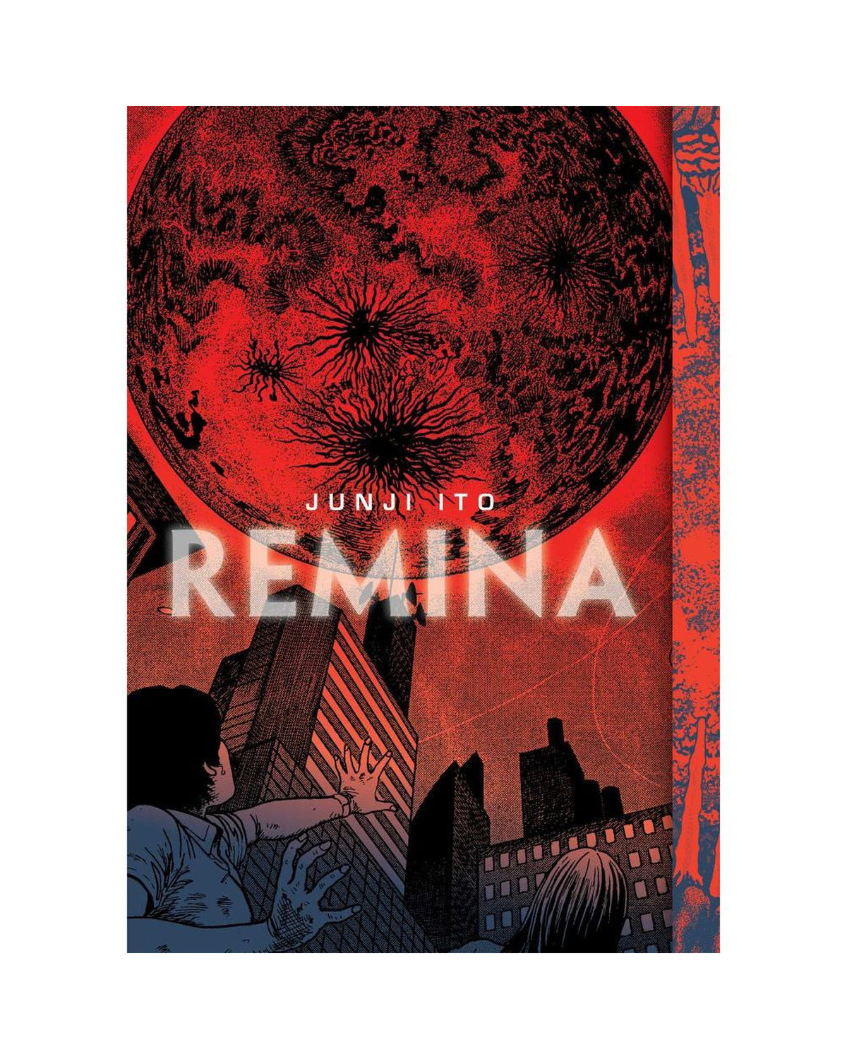 Remina — cover