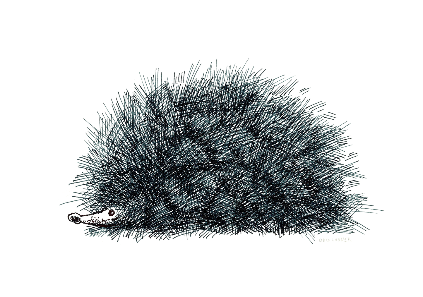 דין לנר | הדפס שופנהאוור