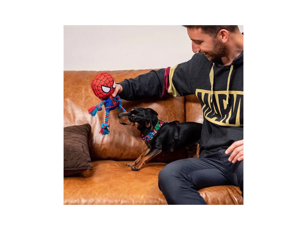 Dog Toy - Spiderman - Yuka Monsters