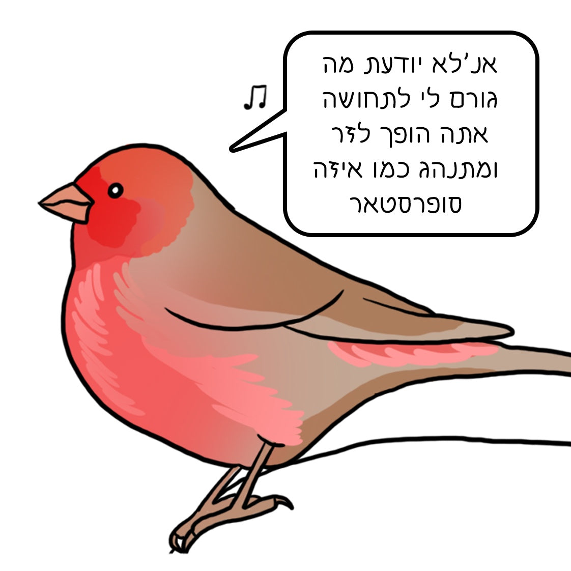 נועה כץ | מגנט ״סופר סטאר״