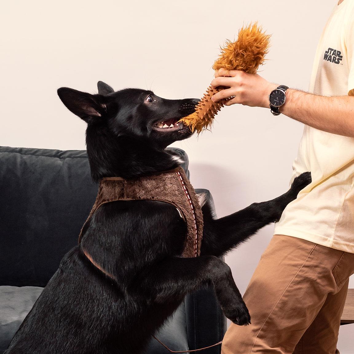 Dog Toy - Chewbacca - Dental - Yuka Monsters
