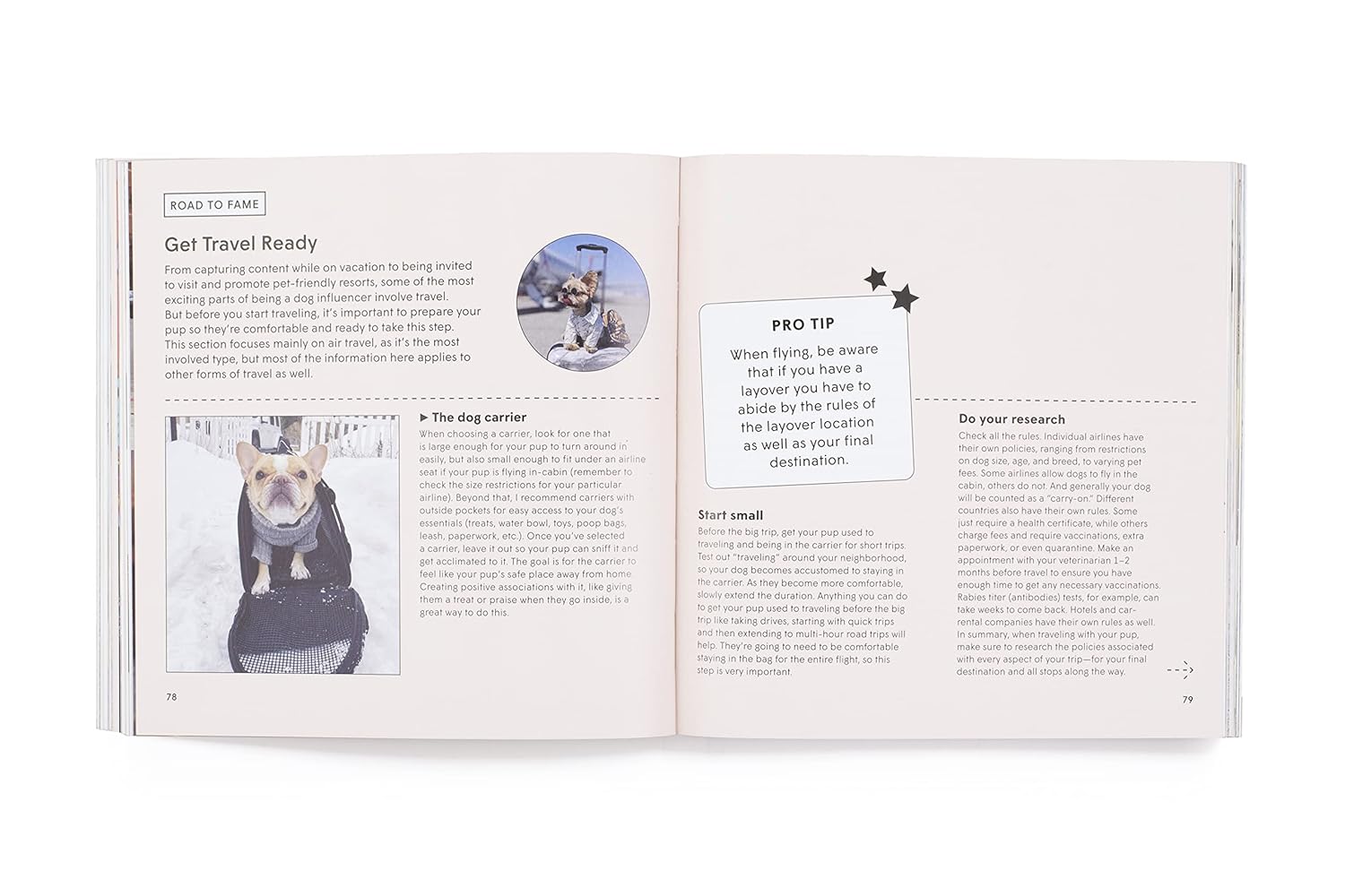 How To Make Your Dog #Famous - Yuka Monsters