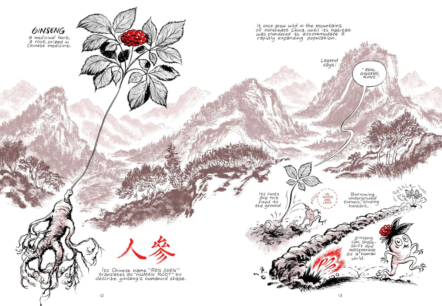 נובלה גרפית | Ginseng Roots
