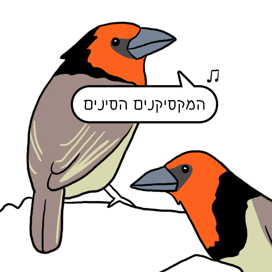 נעה כ״ץ | מגנט ״המקסיקנים הסינים״