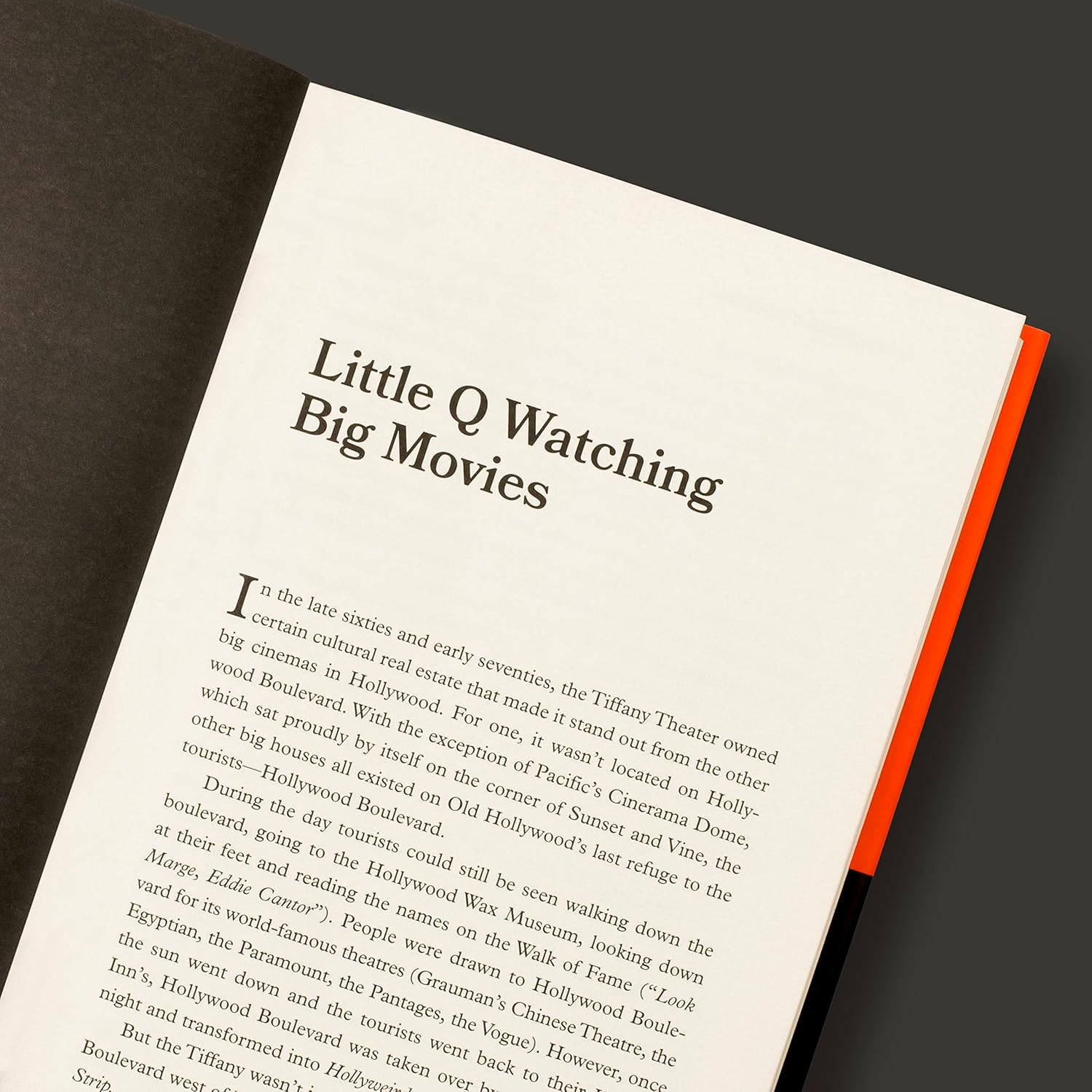 Cinema Speculation - Yuka Monsters