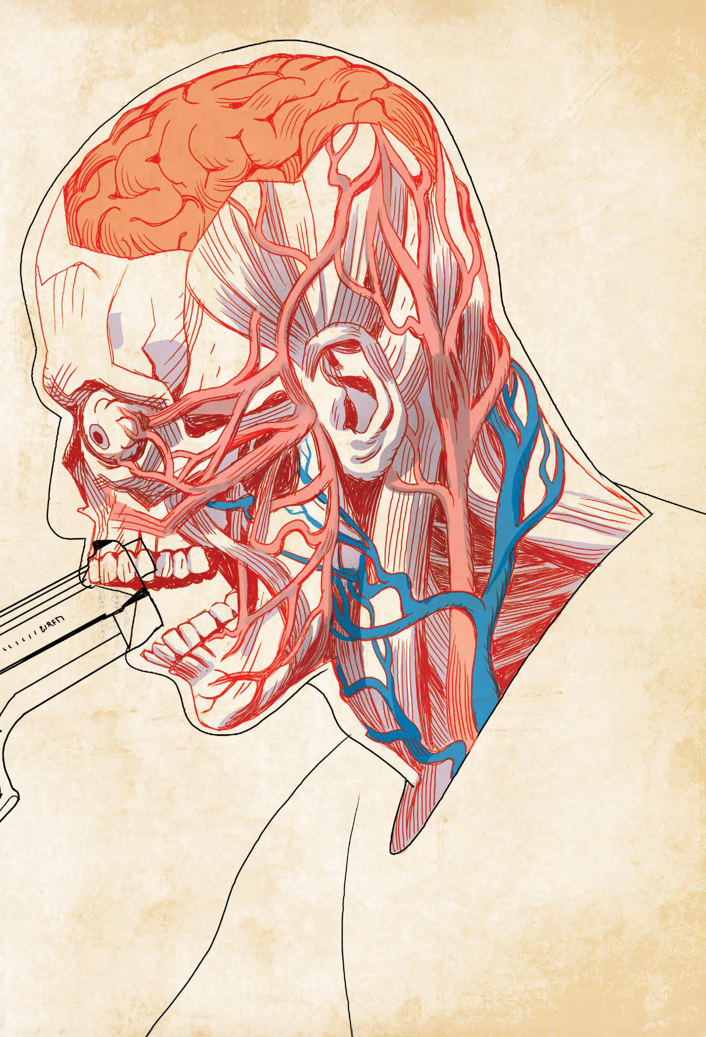 אני עדיין חי | רוברטו סביאנו ואסף חנוכה