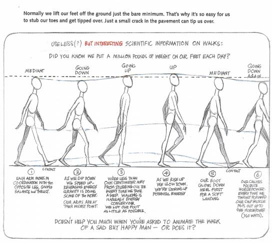 ספר הדרכה | The Animator's Survival Kit