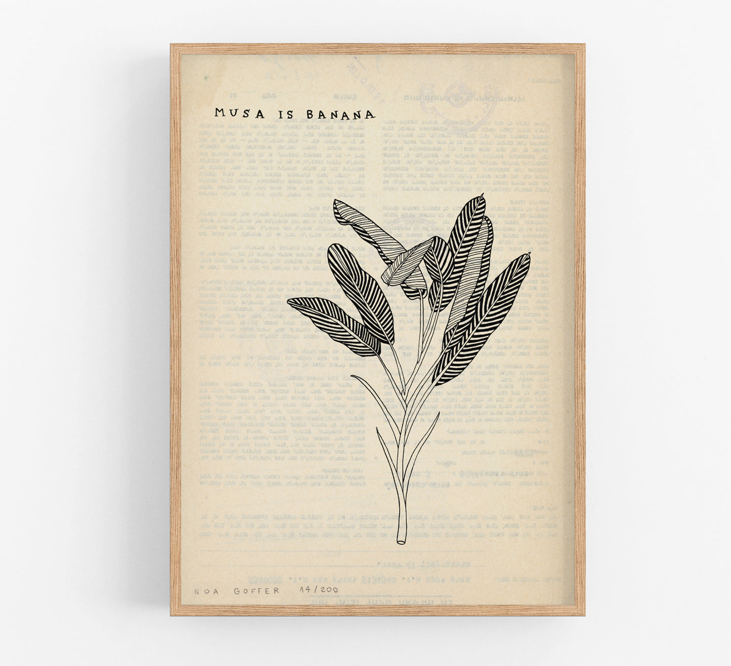 נועה גופר | הדפס וינטג׳ עץ בננה