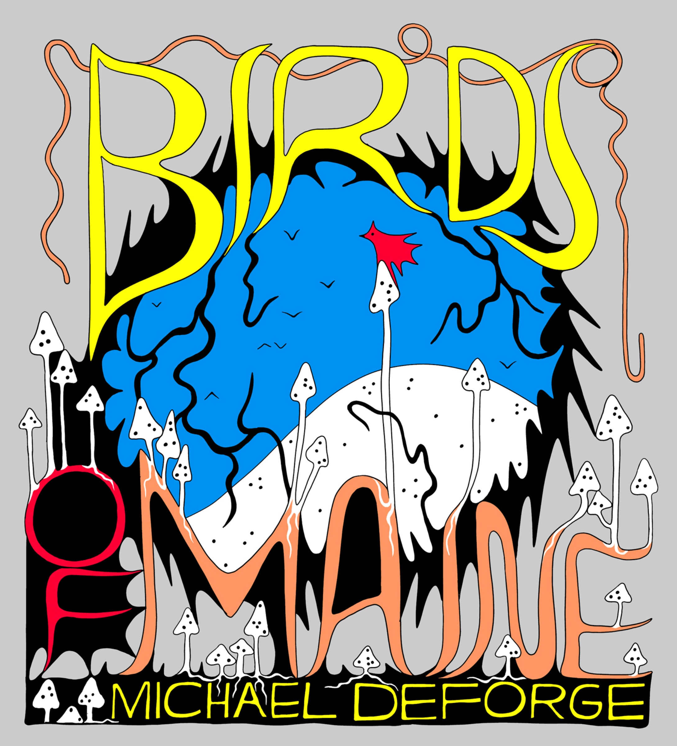 Birds of Maine - Yuka Monsters