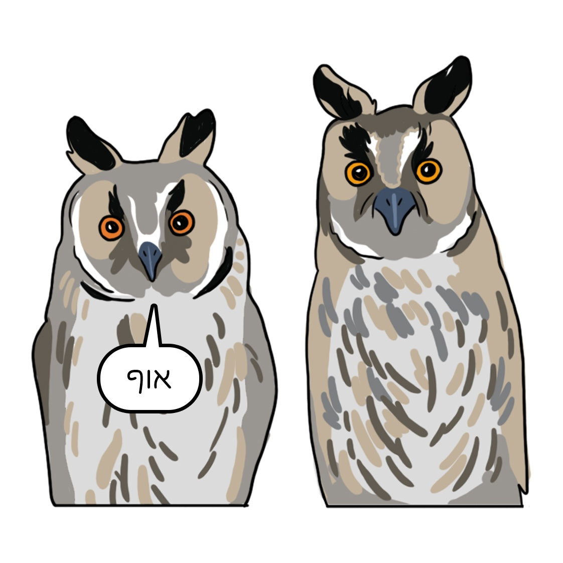 נעה כ״ץ | מגנט אוף - Yuka Monsters