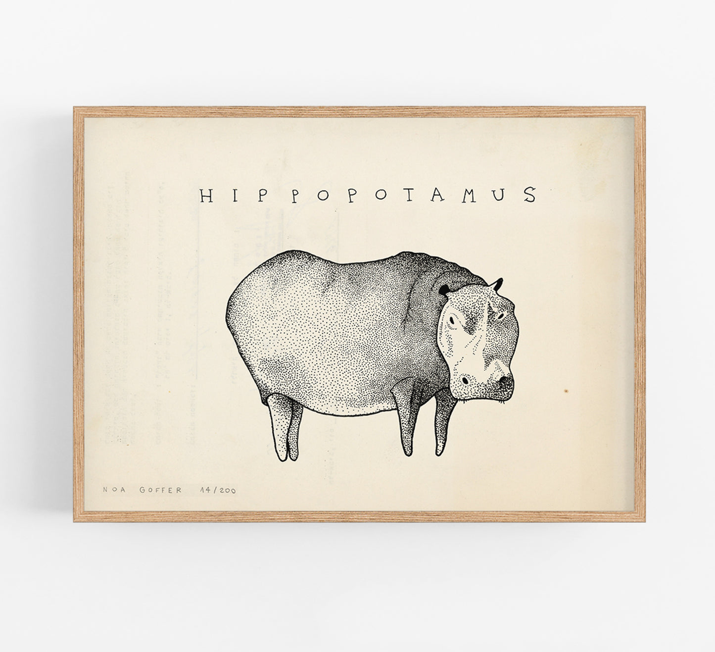 נועה גופר | הדפס וינטג׳ היפופוטם