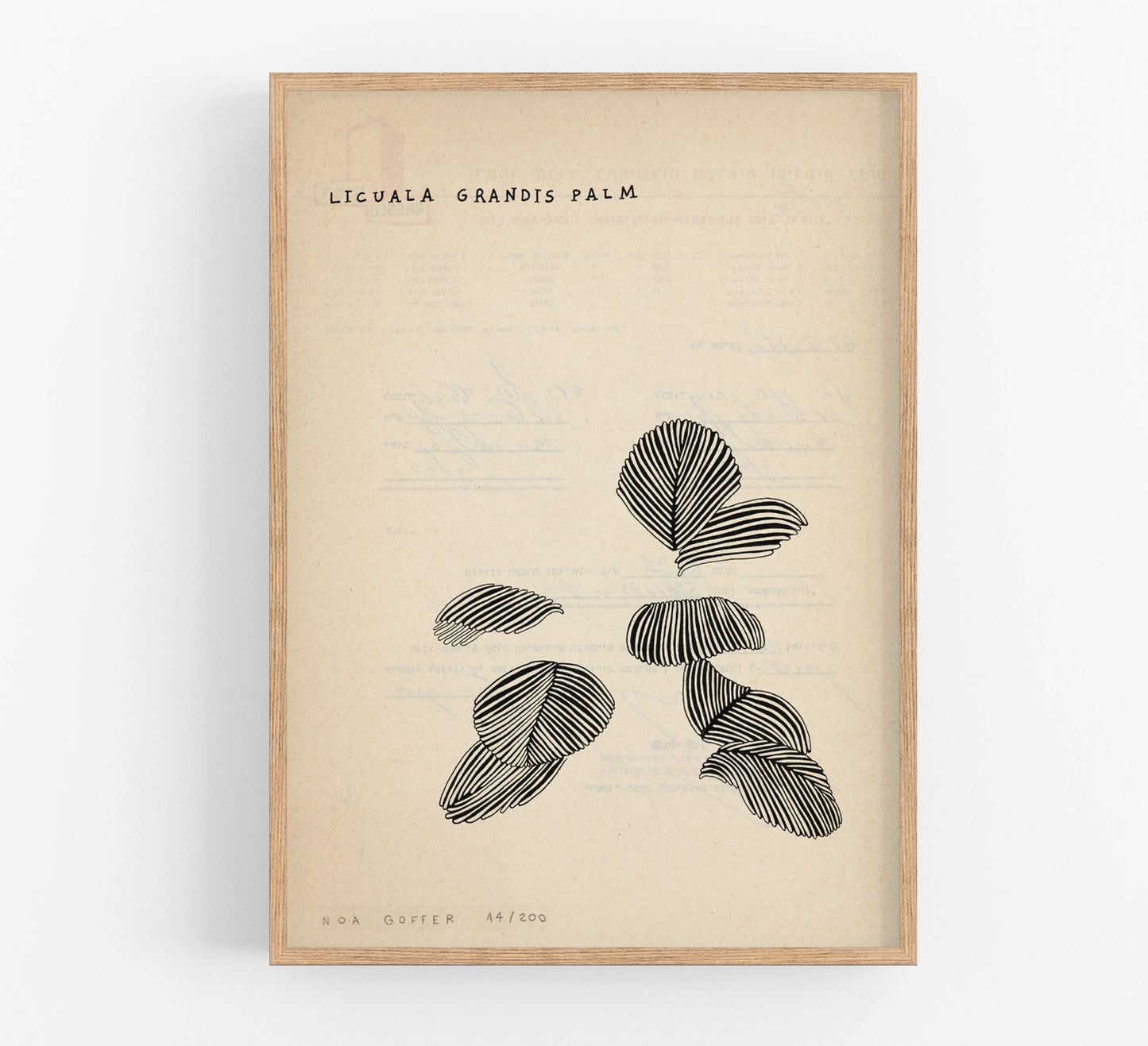 נועה גופר | הדפס וינטג׳ עץ דקל