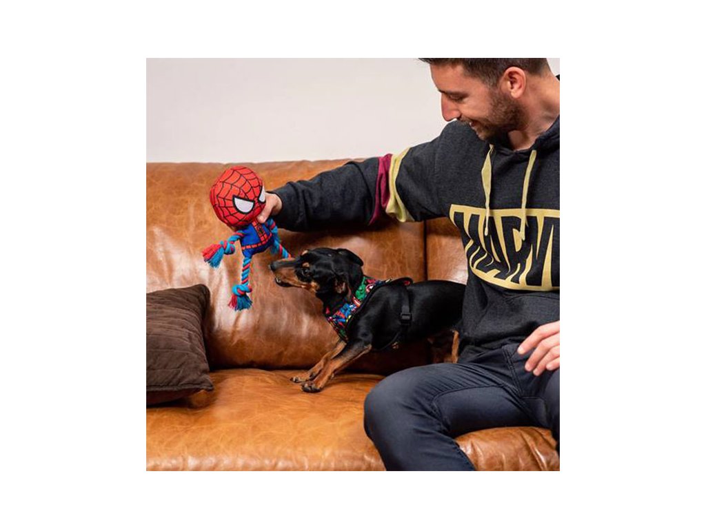 Dog Toy - Spiderman