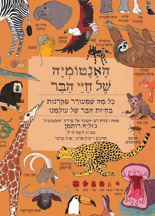 האנטומיה של חיי הבר