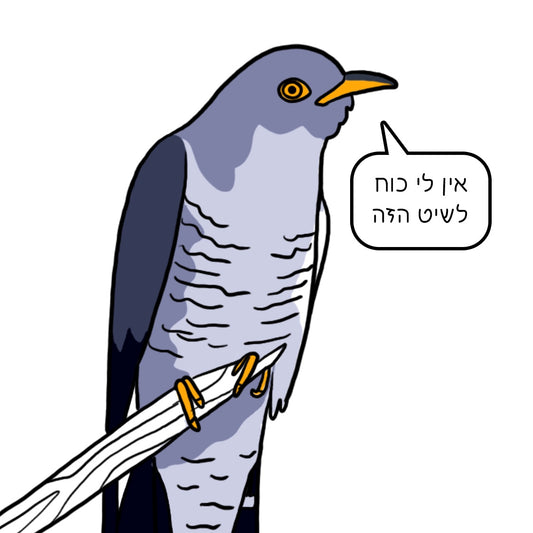 נעה כ״ץ | מגנט ״אין לי כוח לשיט הזה״