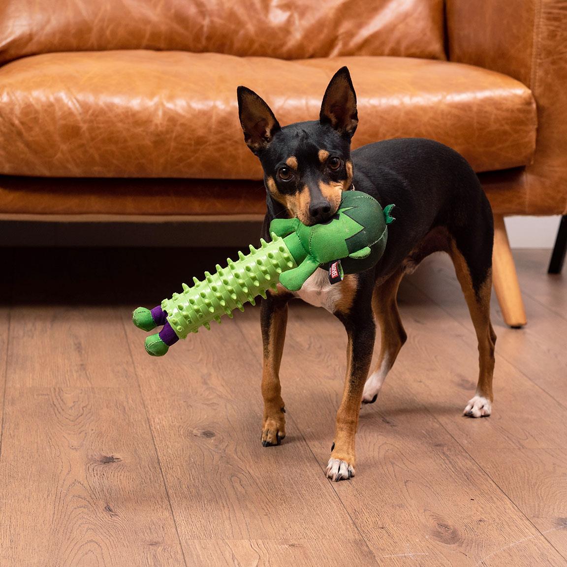 Dog Toy - Hulk - Dental - Yuka Monsters