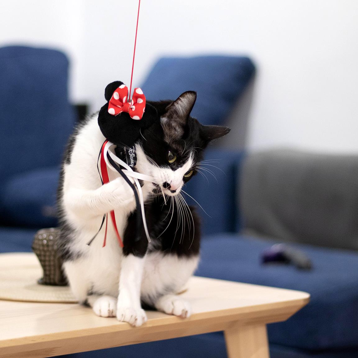 Cat Wand - Minnie Mouse - Yuka Monsters