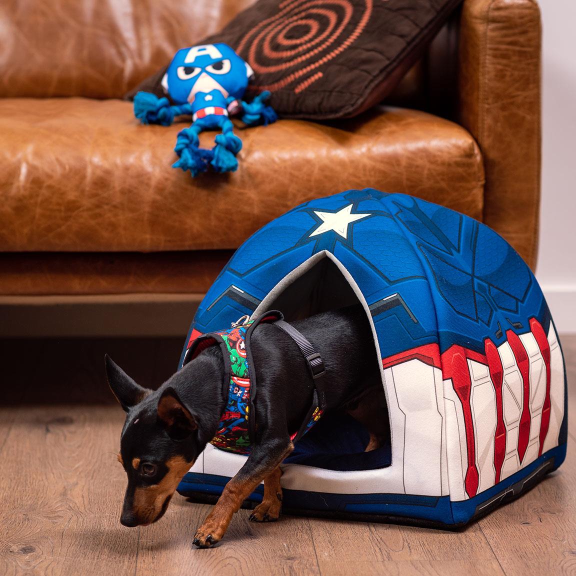 Captain america dog toy hotsell