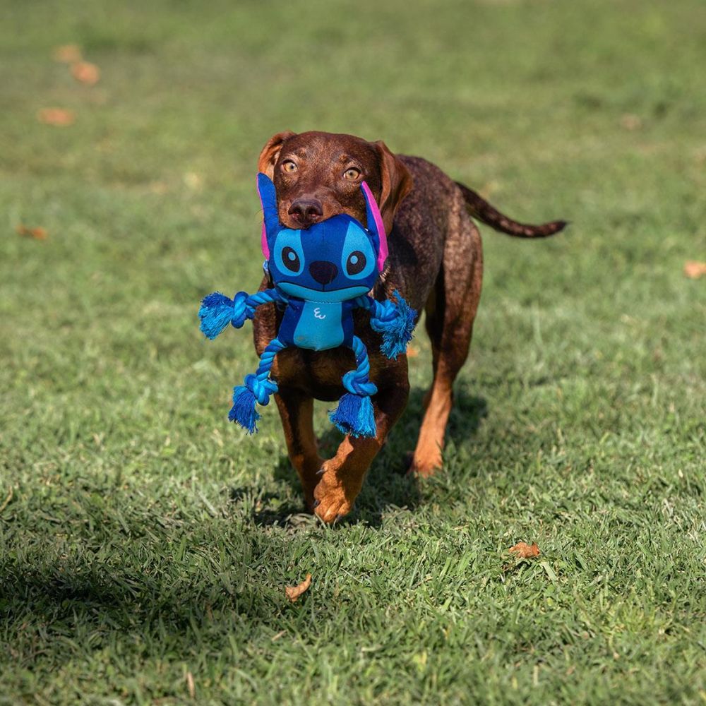 Dog Toy - Stitch - Yuka Monsters