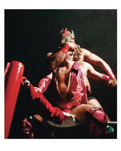 ספר אמנות | Lucha Libre