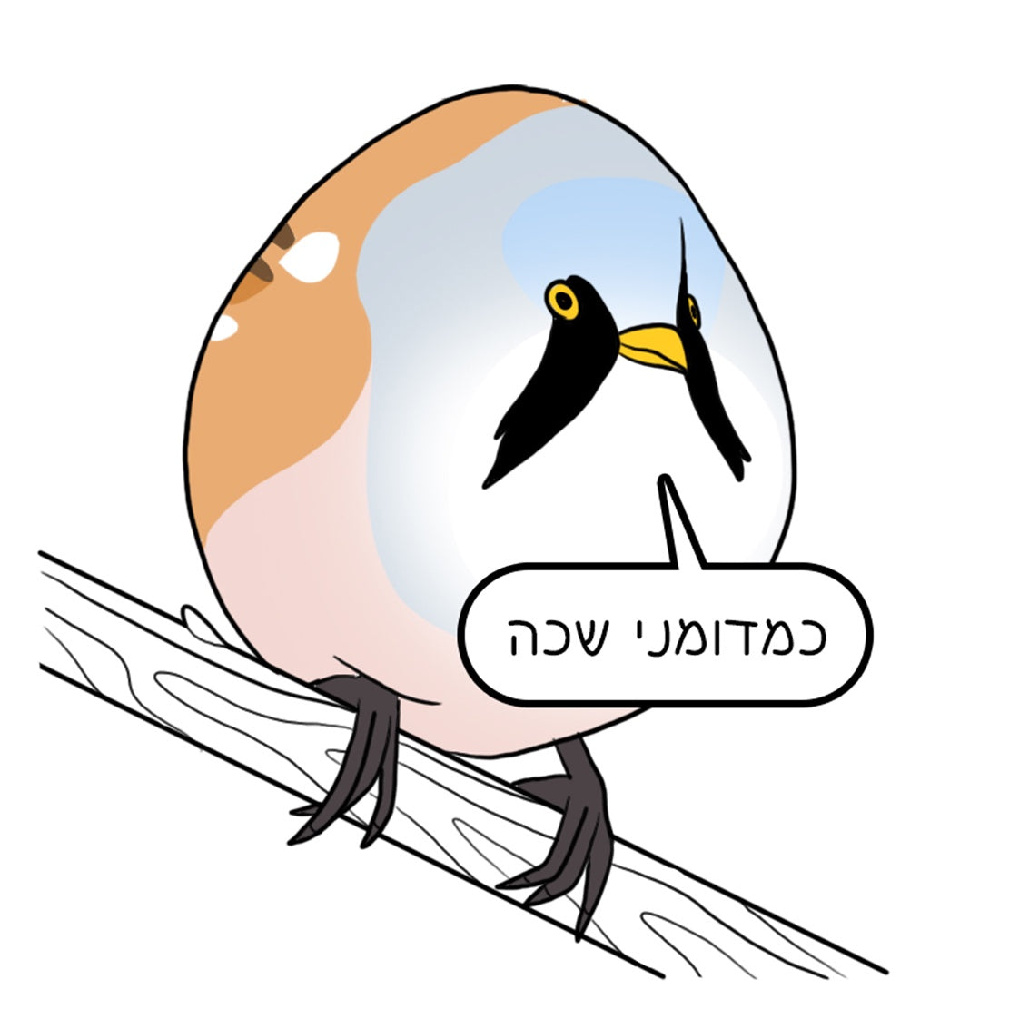 נעה כ״ץ | מגנט ״כמדומני שכה״
