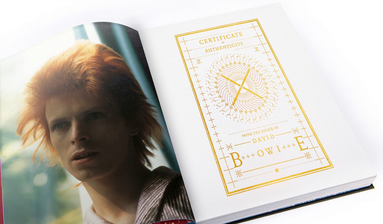 Moonage Daydream: The Life and Times of Ziggy Stardust - Yuka Monsters