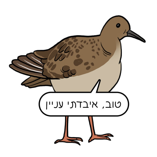 נעה כ״ץ | מגנט ״איבדתי עניין״