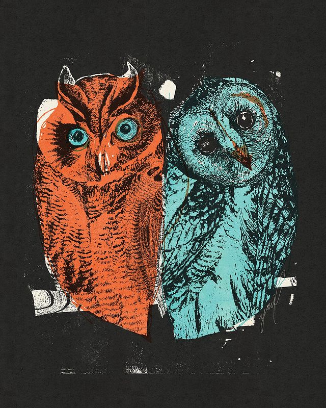 YONIL | פרינט Owls 