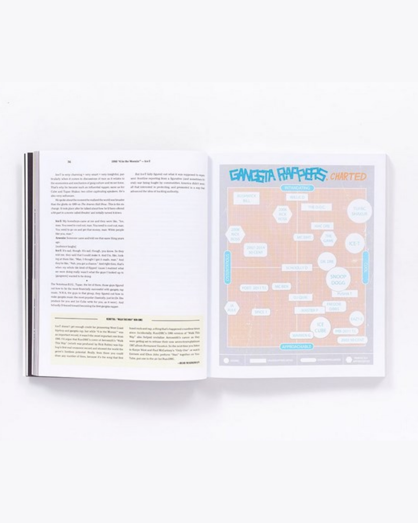 מוזיקה | The Rap Year Book