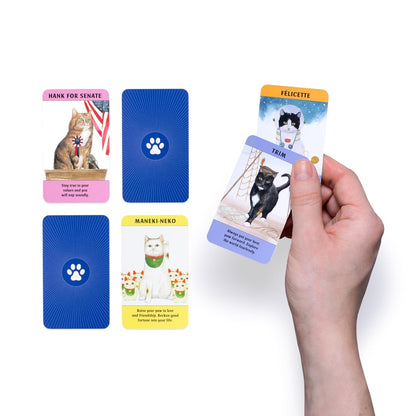 קלפים | Cat Gurus: Mini Deck