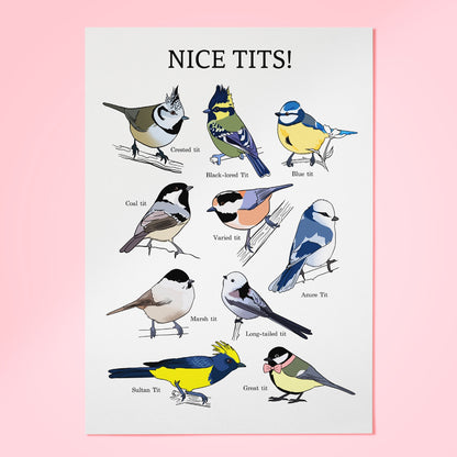 נעה כ"ץ | פרינט - Nice Tits