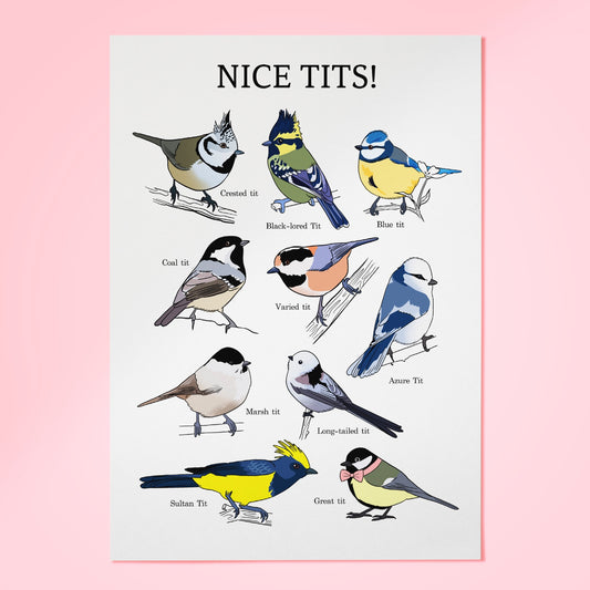 נעה כ"ץ | פרינט - Nice Tits