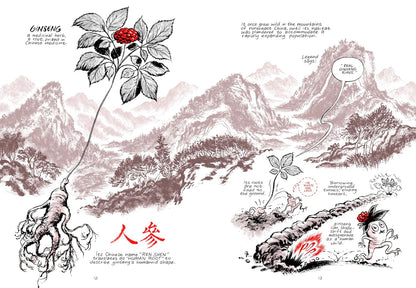 נובלה גרפית | Ginseng Roots