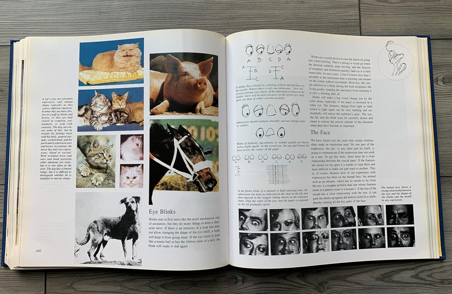 אנימציה | The Illusion of Life: Disney Animation