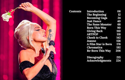 מוזיקה | Lady Gaga: Applause