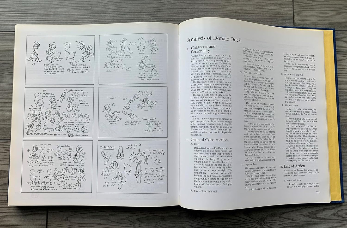 אנימציה | The Illusion of Life: Disney Animation