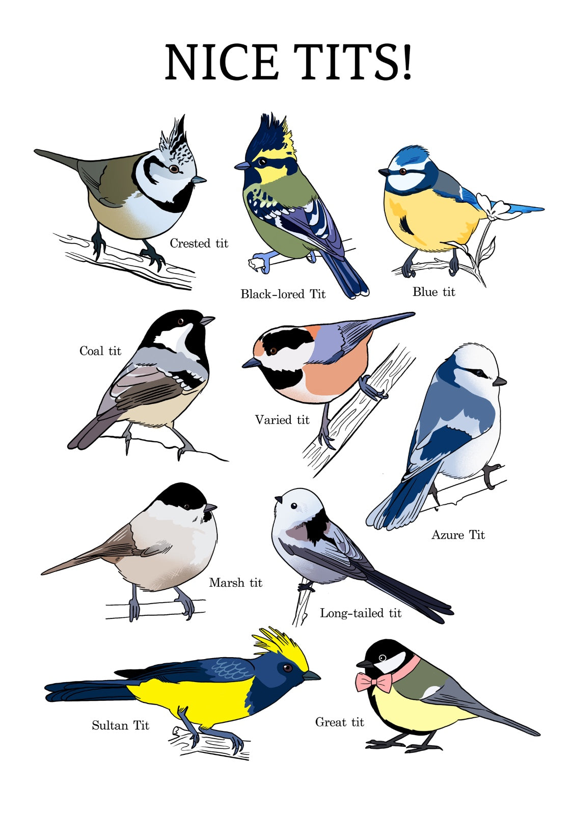 נעה כ"ץ | פרינט - Nice Tits