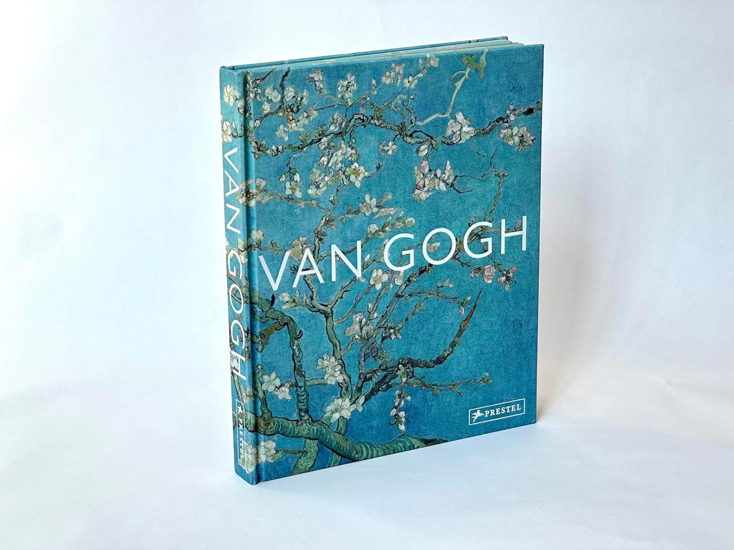 ספר אמנות | Van Gogh: The Bigger Picture 