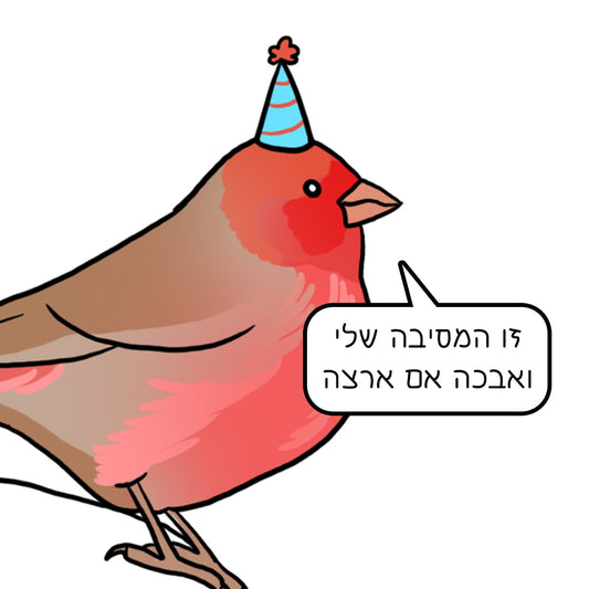 נועה כץ | מגנט ״המסיבה שלי״