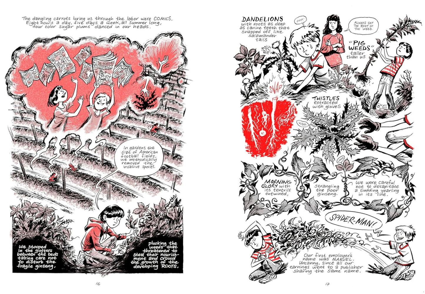 נובלה גרפית | Ginseng Roots