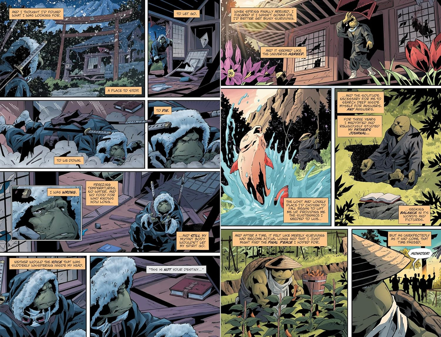 קומיקס | The Last Ronin: Lost Years