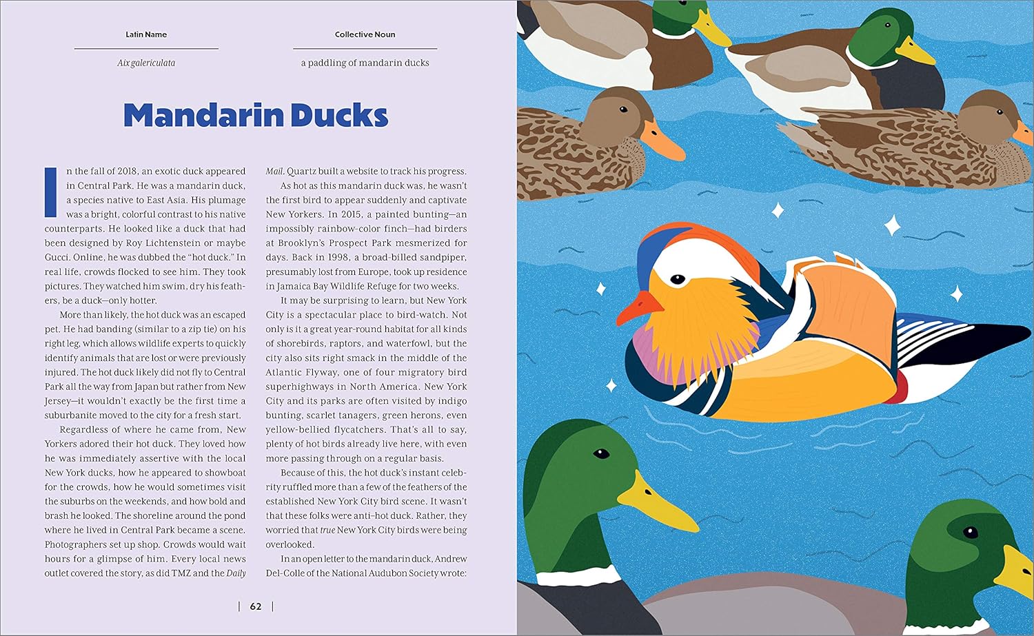 Wild City | A Brief History of New York City in 40 Animals - Yuka Monsters