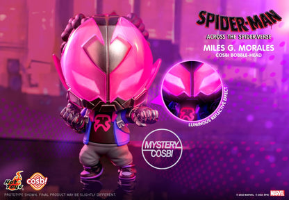 Across The Spider-Verse Cosbi Bobble-Head | Blind Box