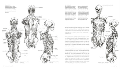 Anatomy for the Artist