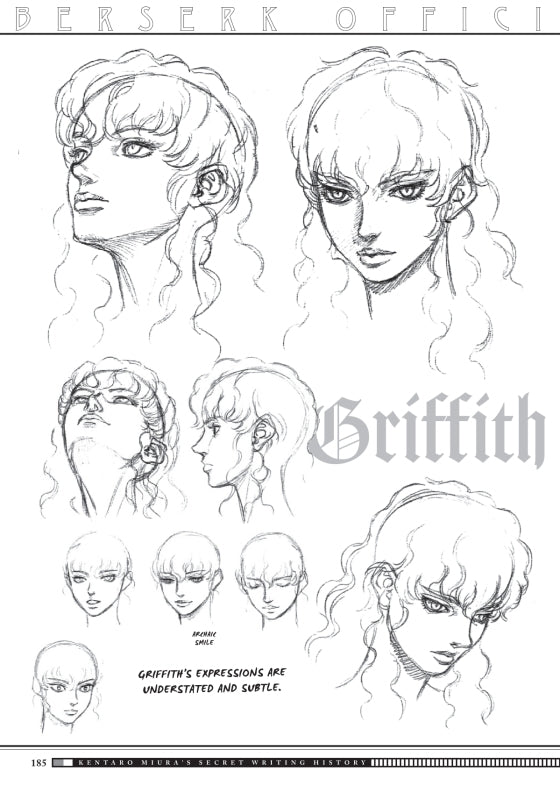 ספר הדרכה | Berserk Official Guidebook