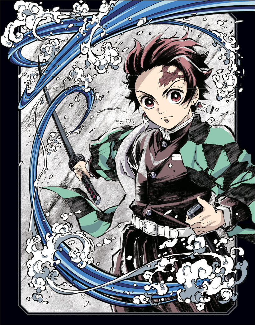 Demon Slayer: Kimetsu no Yaiba, Vol. 1