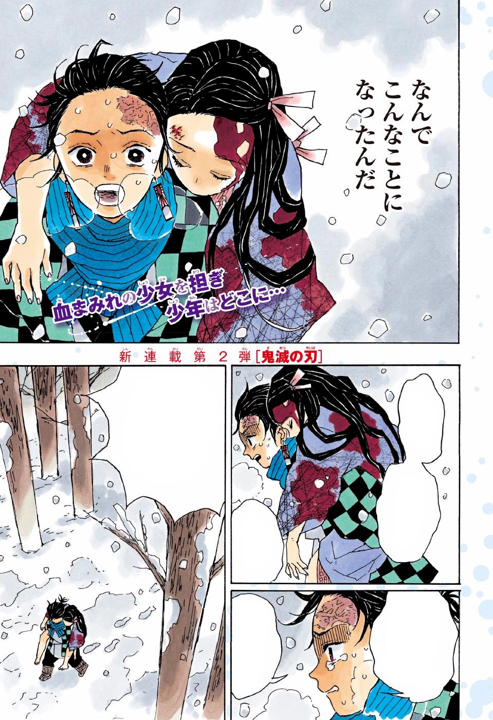 Demon Slayer: Kimetsu no Yaiba, Vol. 1 - Yuka Monsters
