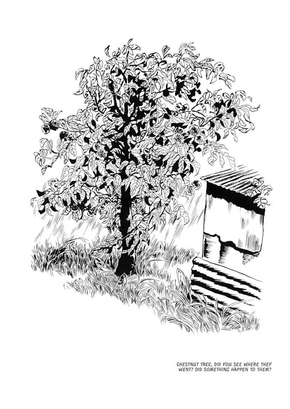 נובלה גרפית | Dog Days