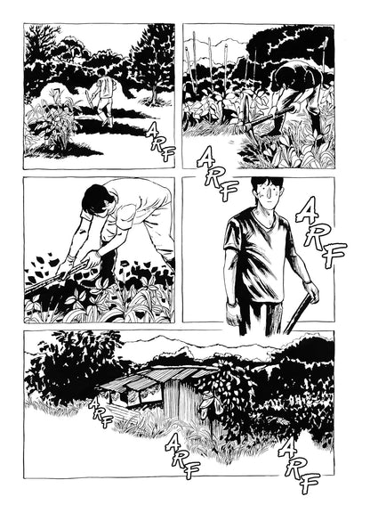 נובלה גרפית | Dog Days