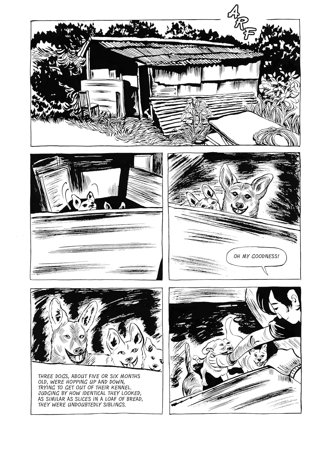 נובלה גרפית | Dog Days